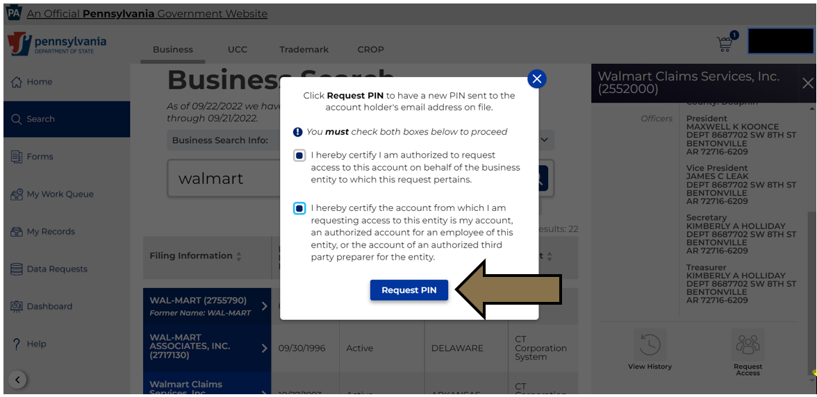 Arrow pointing to the Request PIN button in Business Filing Services.